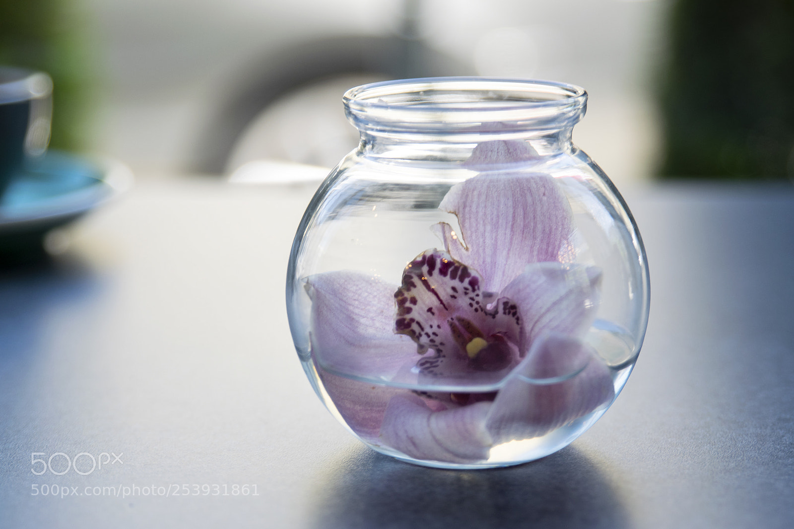 Nikon D3300 sample photo. Pink orchid decor on photography