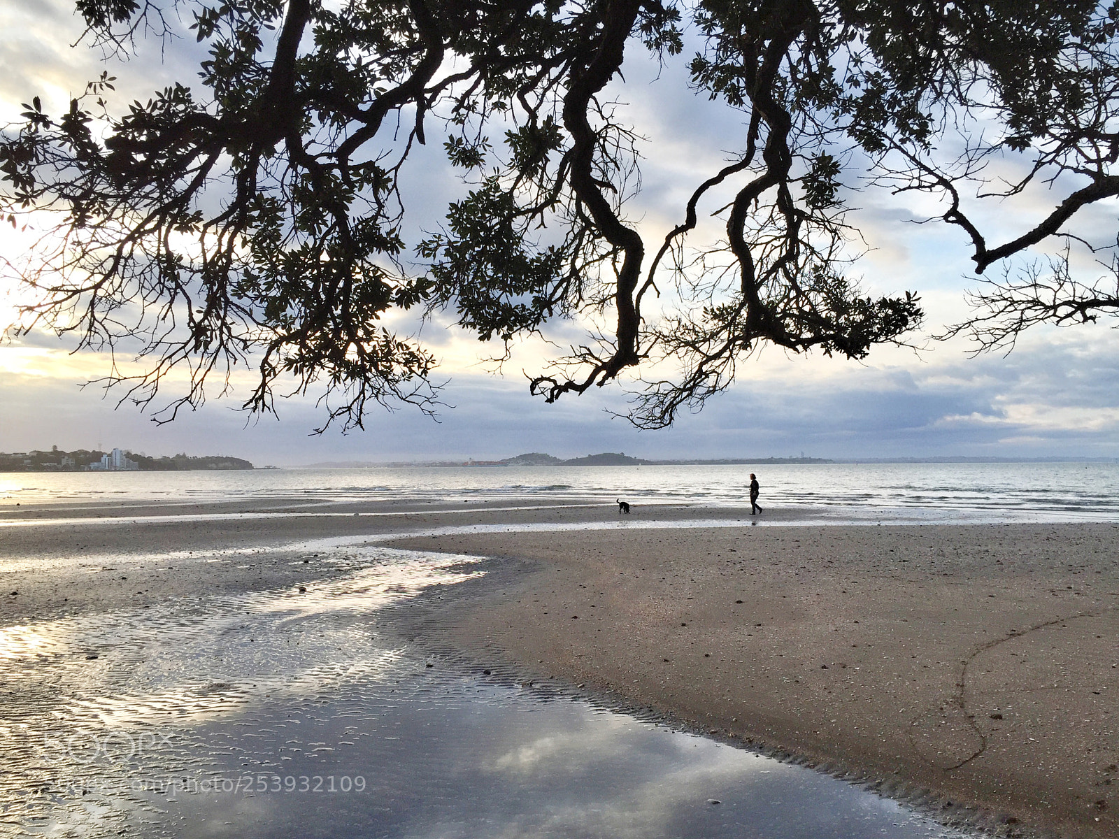 Apple iPhone 6 sample photo. Beach walking photography