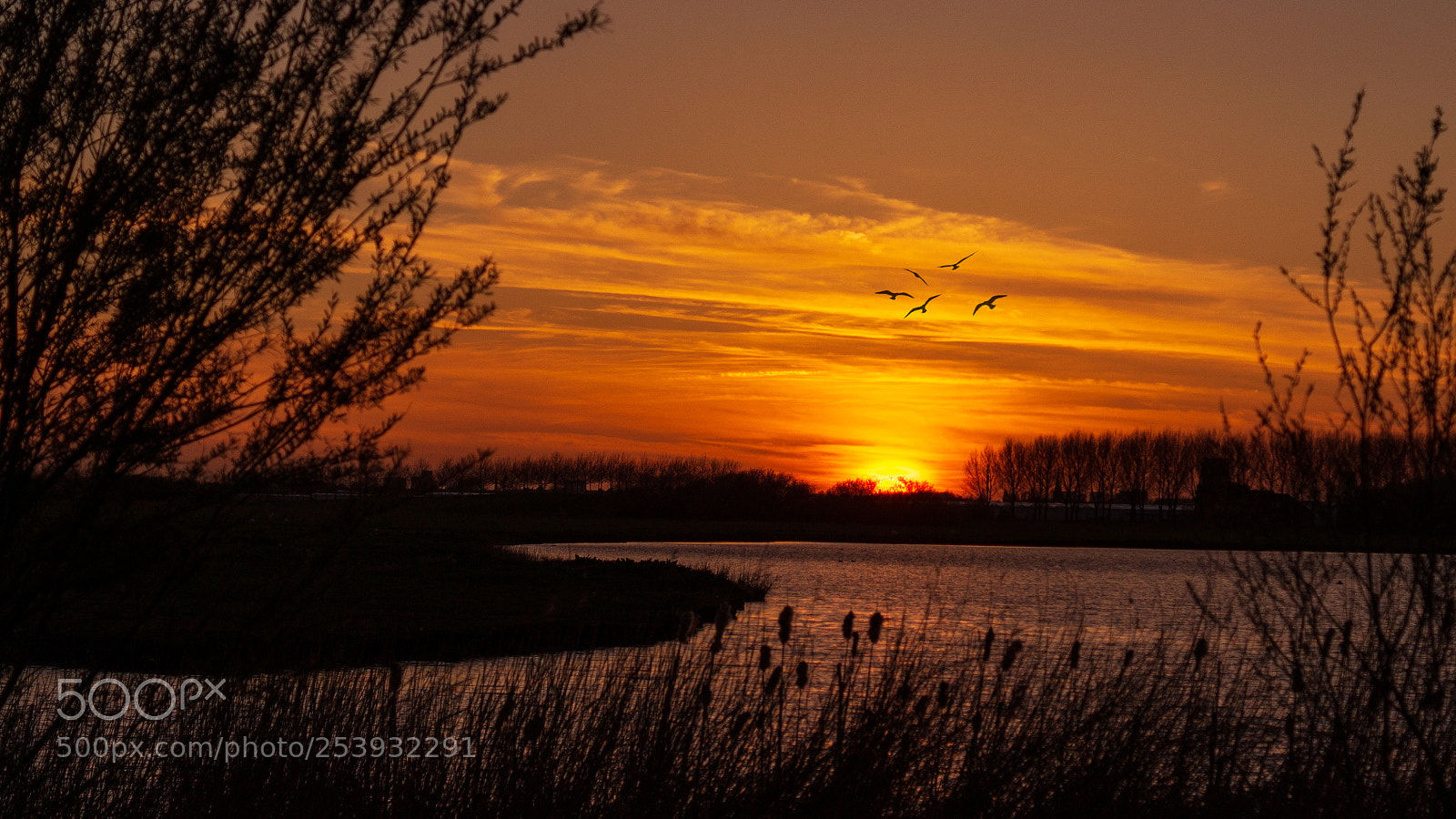 Sony SLT-A58 sample photo. Sunset at springtime photography