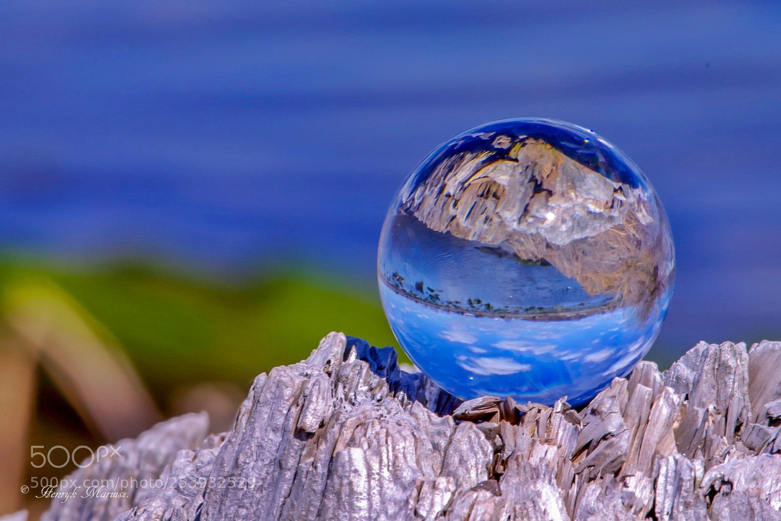 Pentax K-1 sample photo. Upside down world. photography