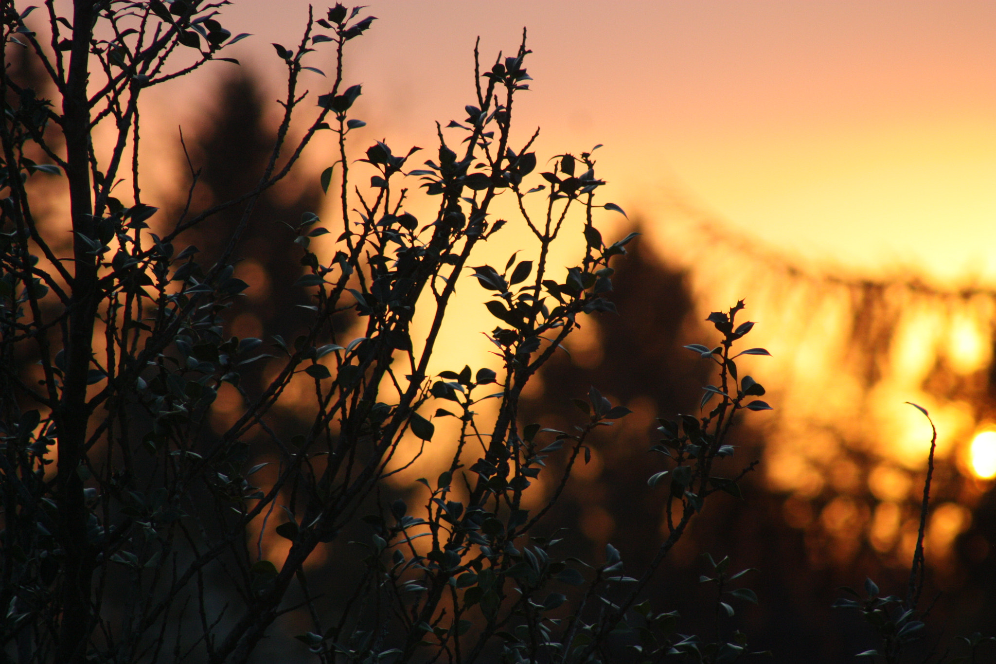 Canon EF 75-300mm f/4-5.6 sample photo. April sunset photography