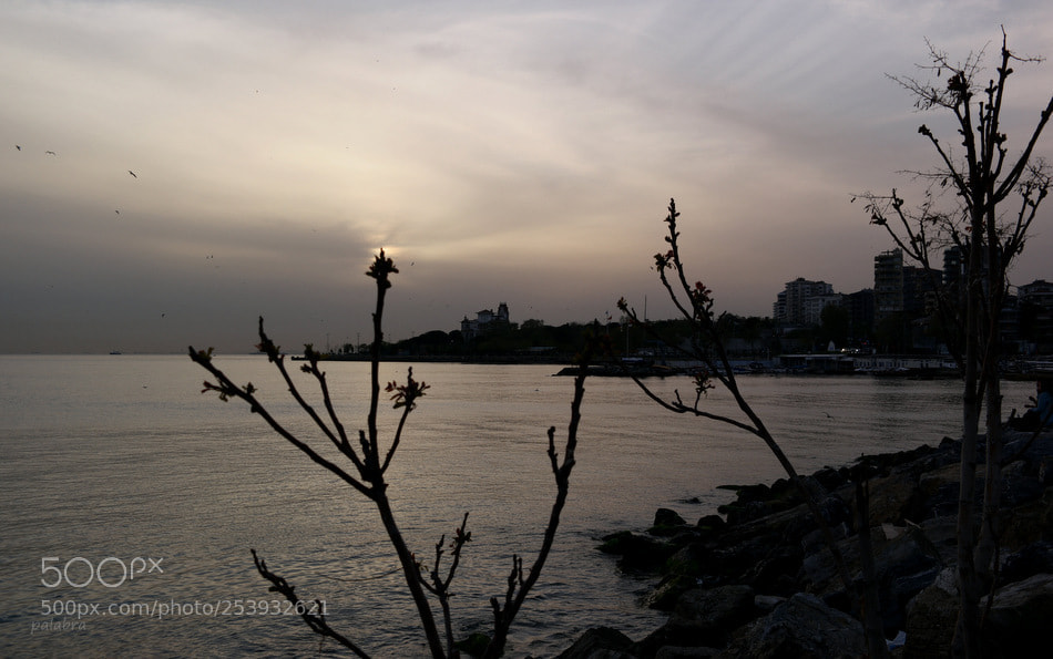 Samsung NX1 sample photo. ... photography