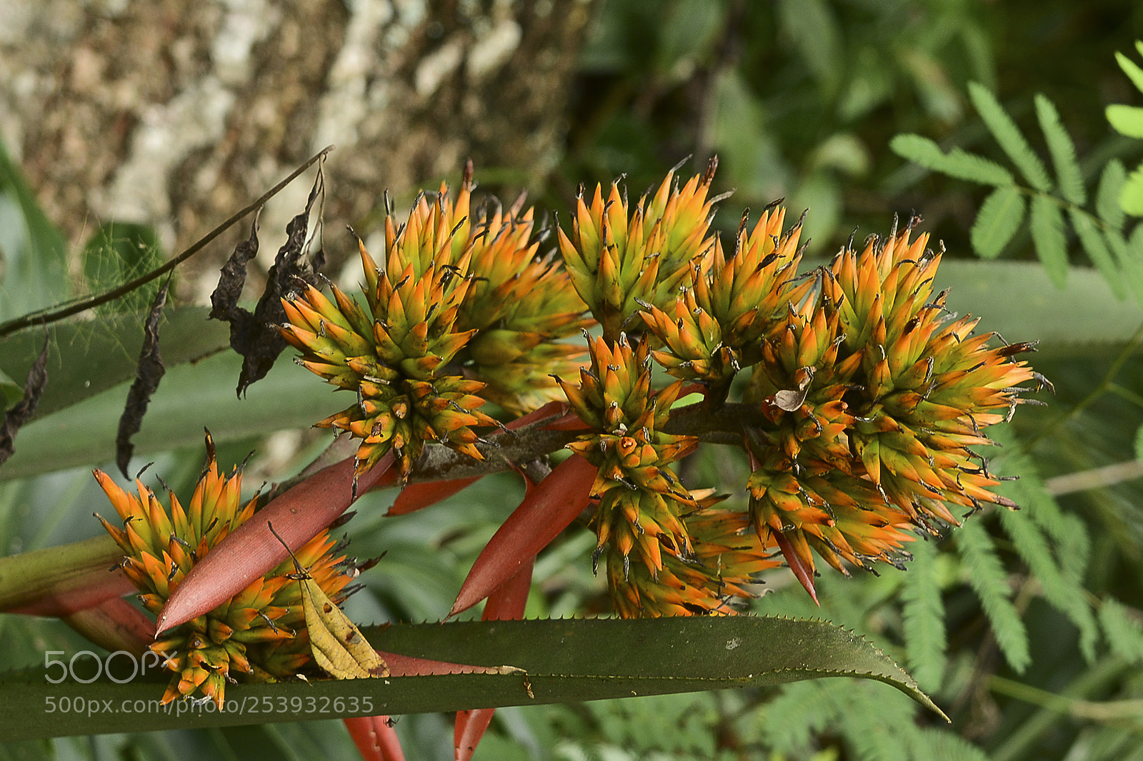 Nikon D7100 sample photo. Num canto de uma photography