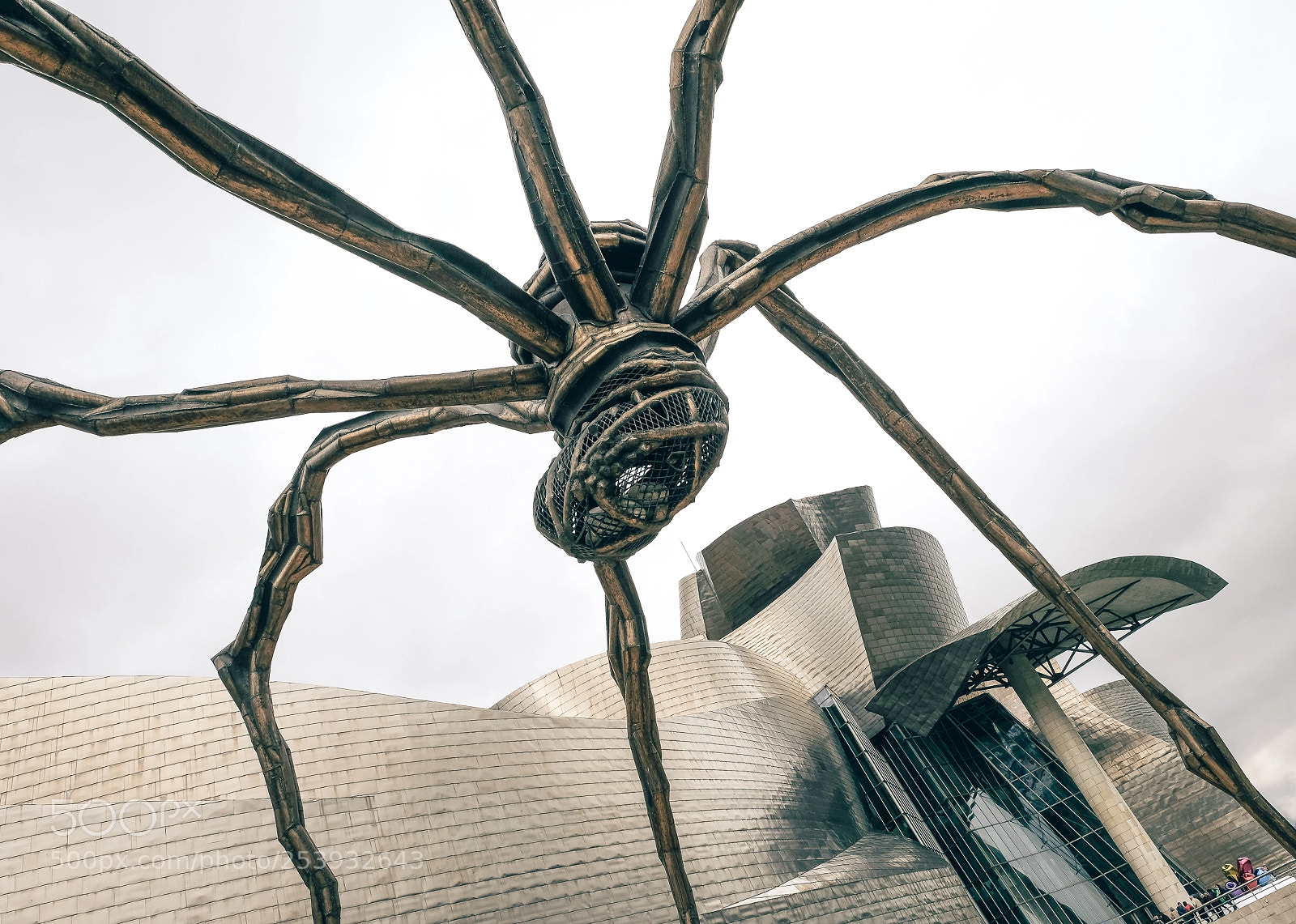 Fujifilm X-T2 sample photo. Spider photography