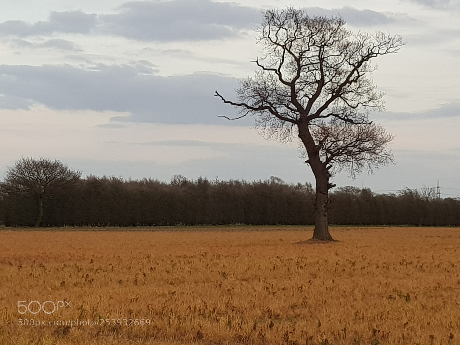 Samsung Galaxy S8 sample photo. Learningtolook photography