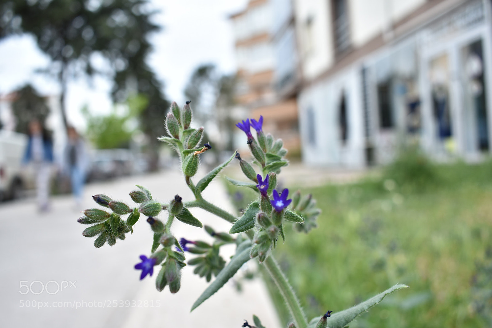 Nikon D3400 sample photo. Untitled photography
