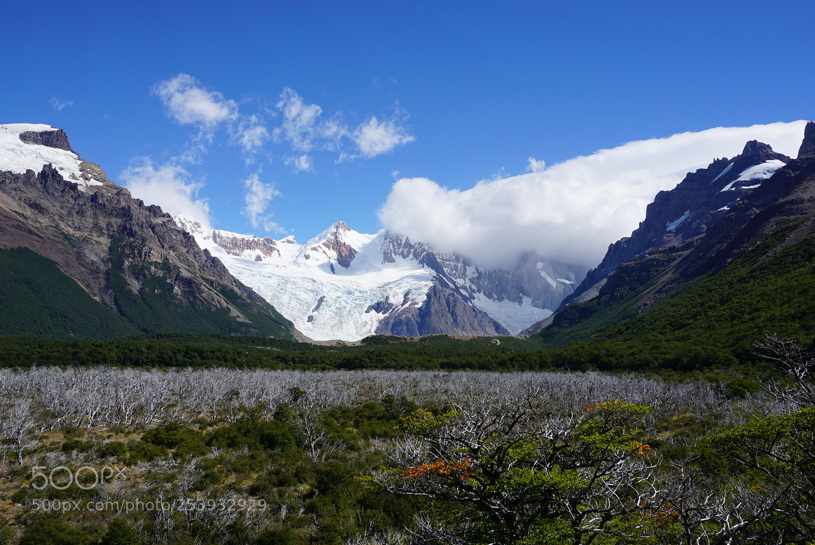 Sony a6000 sample photo. Cerro torre, patagonia, argentina photography