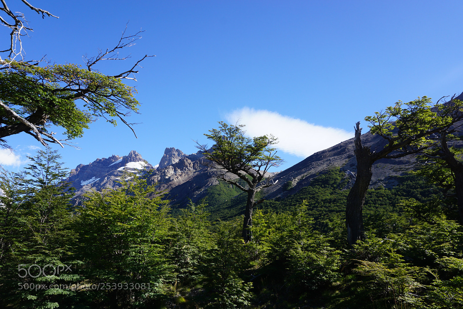 Sony a6000 sample photo. Cerro torre, patagonia, argentina photography