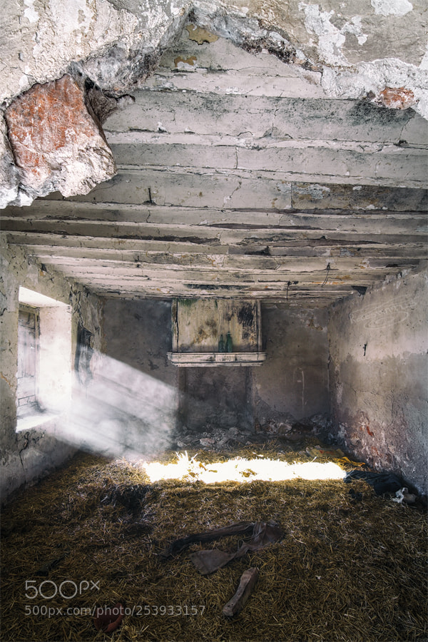 Canon EOS 50D sample photo. "all that was left". photography