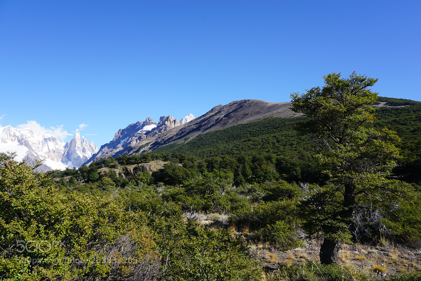 Sony a6000 sample photo. Cerro torre, patagonia, argentina photography