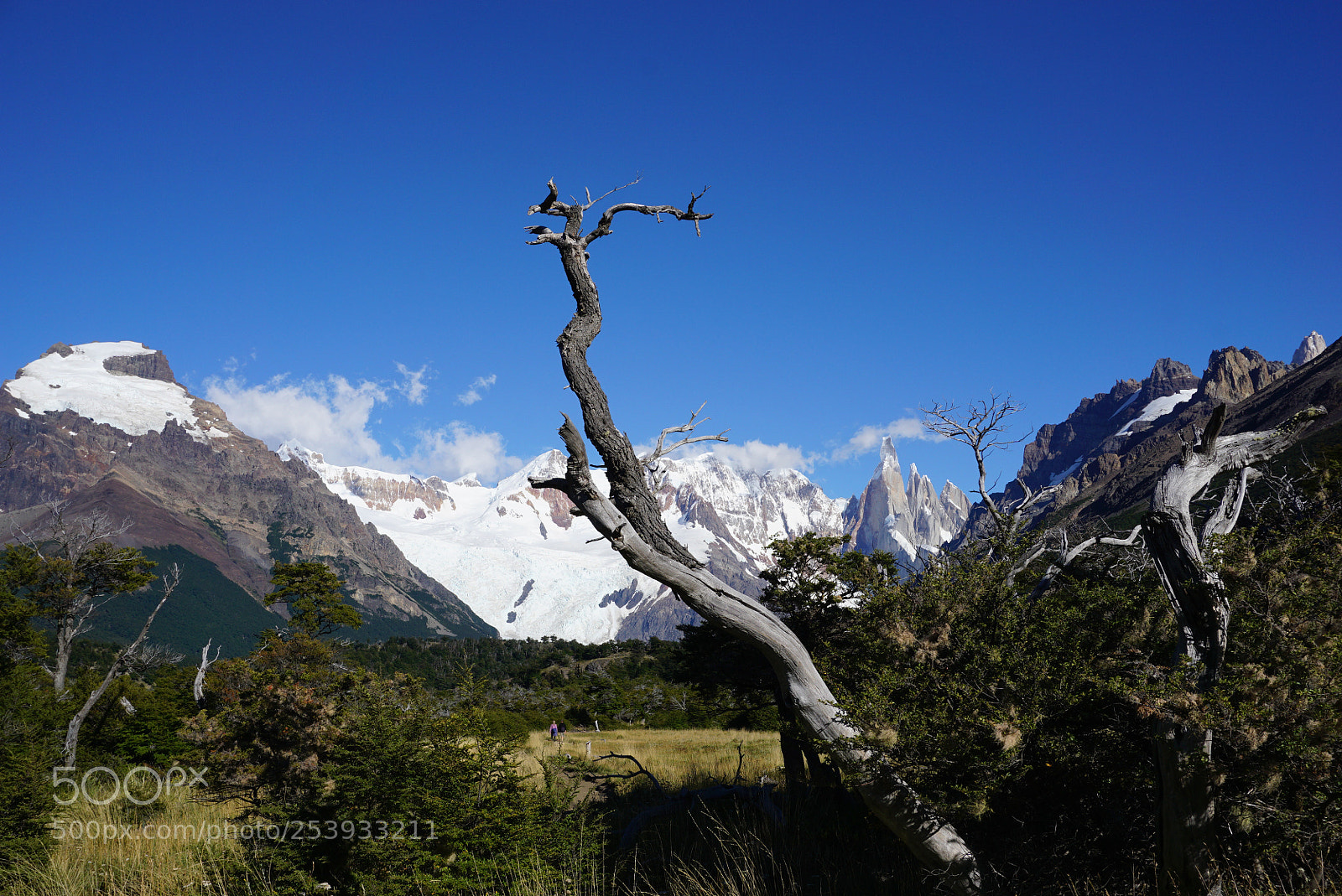 Sony a6000 sample photo. Cerro torre, patagonia, argentina photography