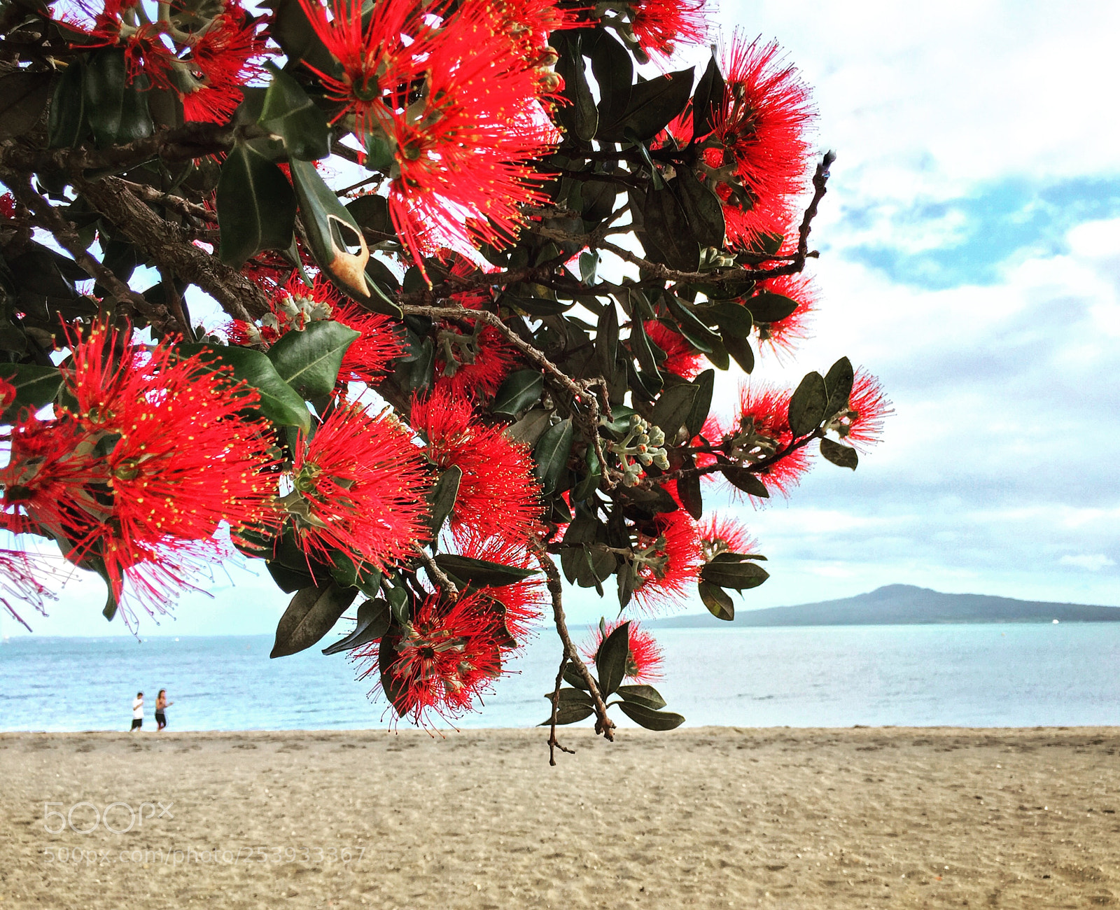 Apple iPhone 6 sample photo. Auckland waterfront photography