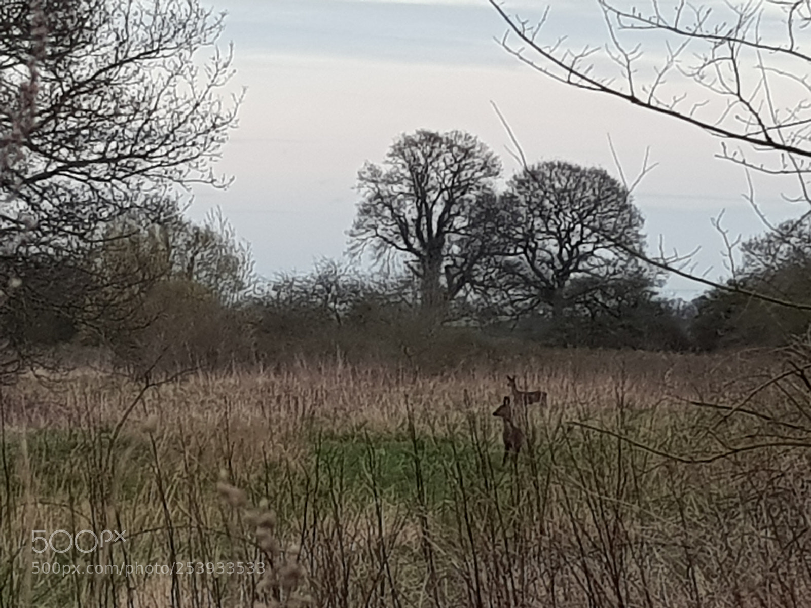 Samsung Galaxy S8 sample photo. Quiet photography