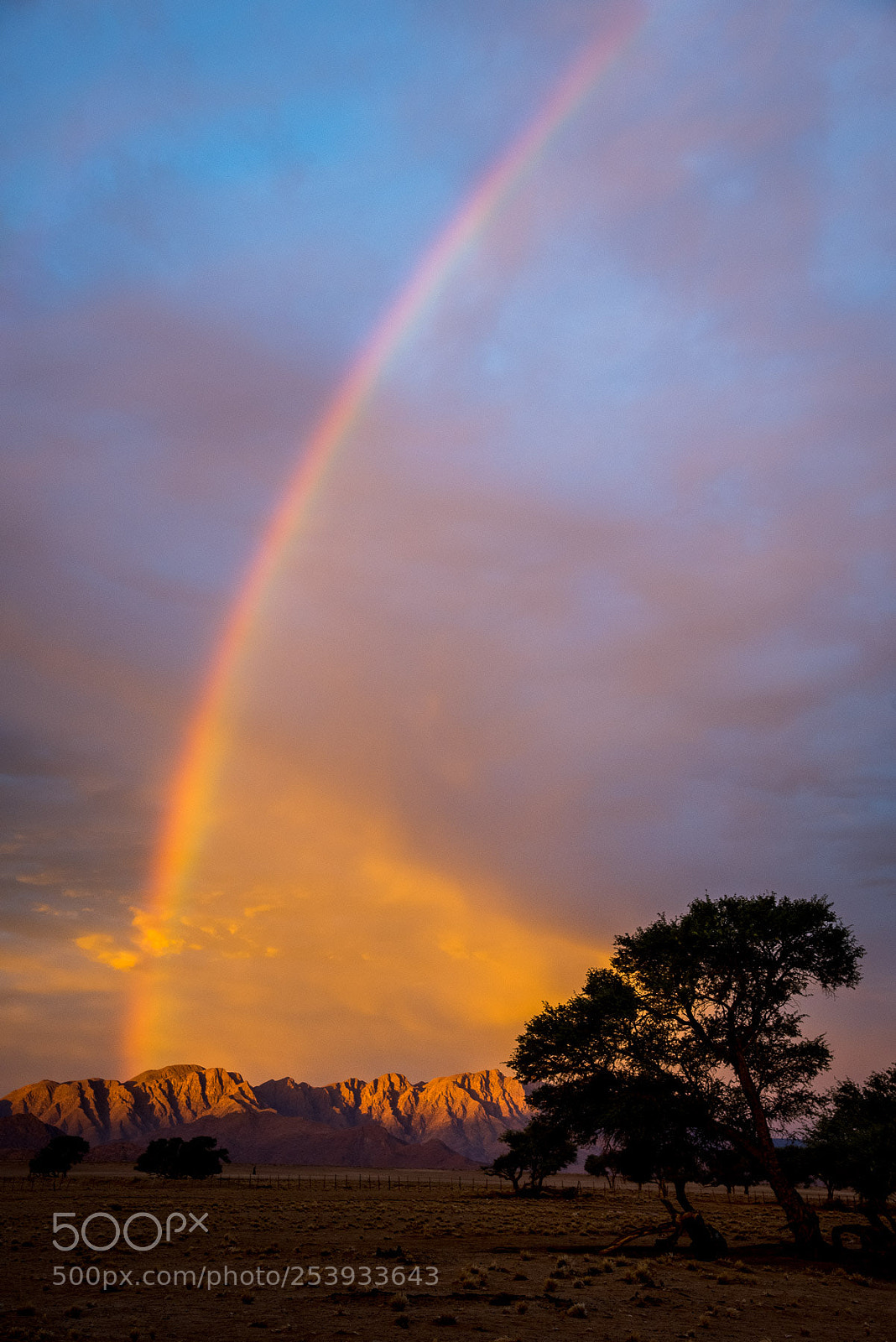 Nikon D750 sample photo. Rainbow over sossusvlei campsite photography