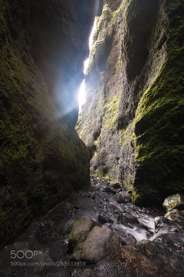 Canon EOS 450D (EOS Rebel XSi / EOS Kiss X2) sample photo. Iceland 2018 photography