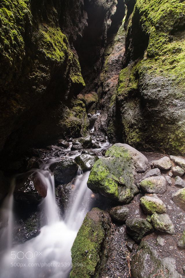 Canon EOS 450D (EOS Rebel XSi / EOS Kiss X2) sample photo. Iceland 2018 photography