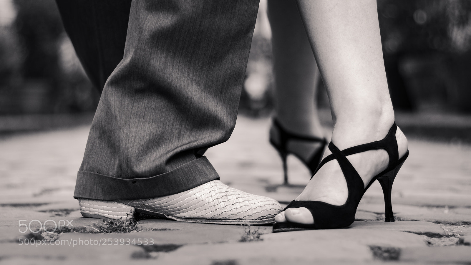 Canon EOS 80D sample photo. Tango photography