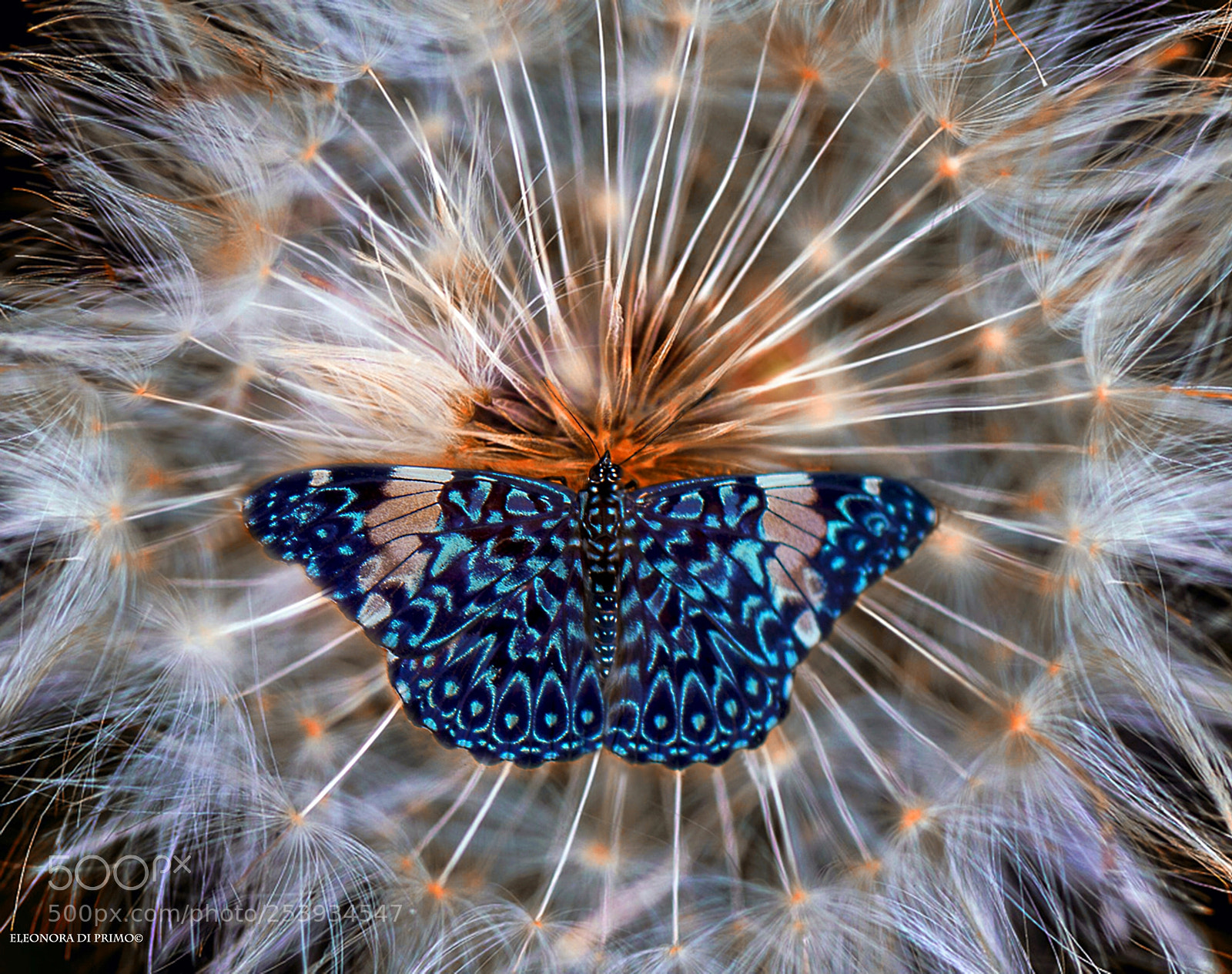 Canon EOS 7D sample photo. Universe photography