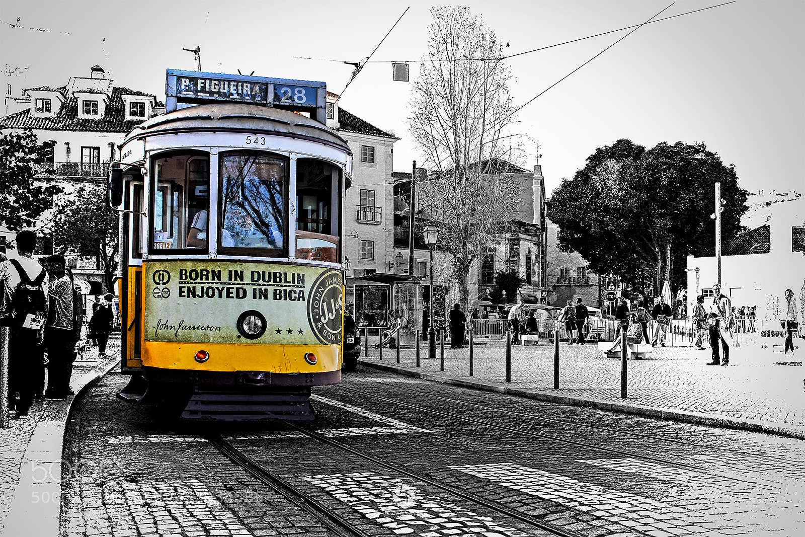 Canon EOS 100D (EOS Rebel SL1 / EOS Kiss X7) sample photo. Figueira photography