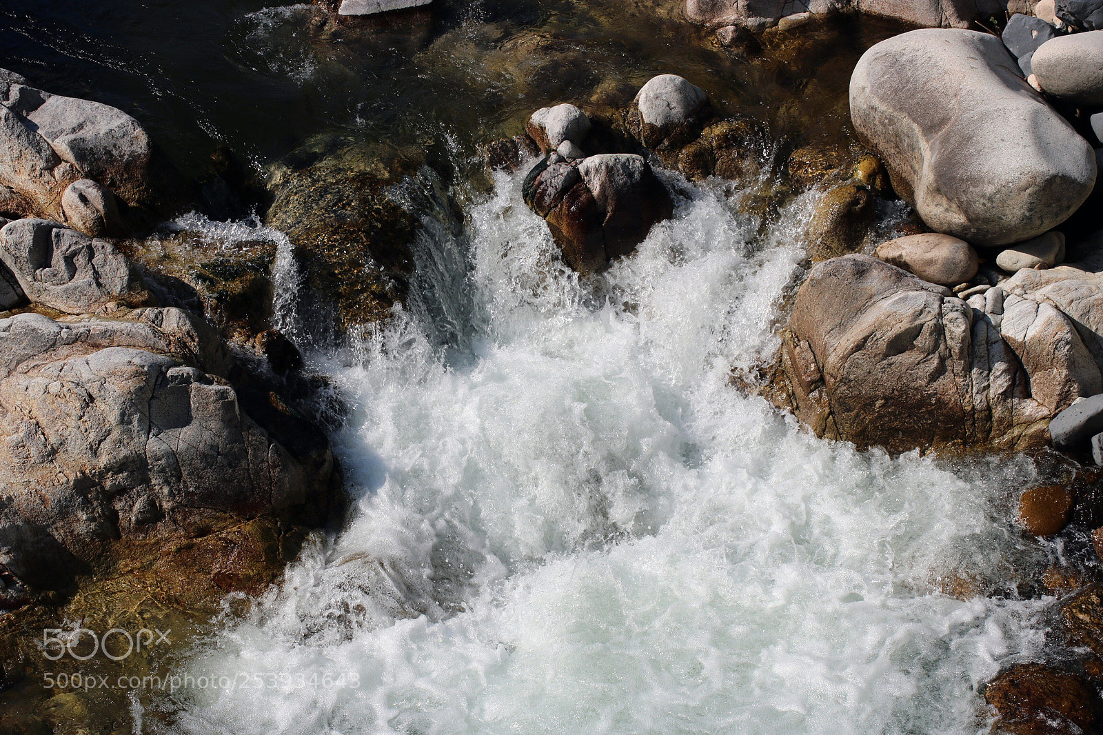 Canon EOS 750D (EOS Rebel T6i / EOS Kiss X8i) sample photo. Fall photography