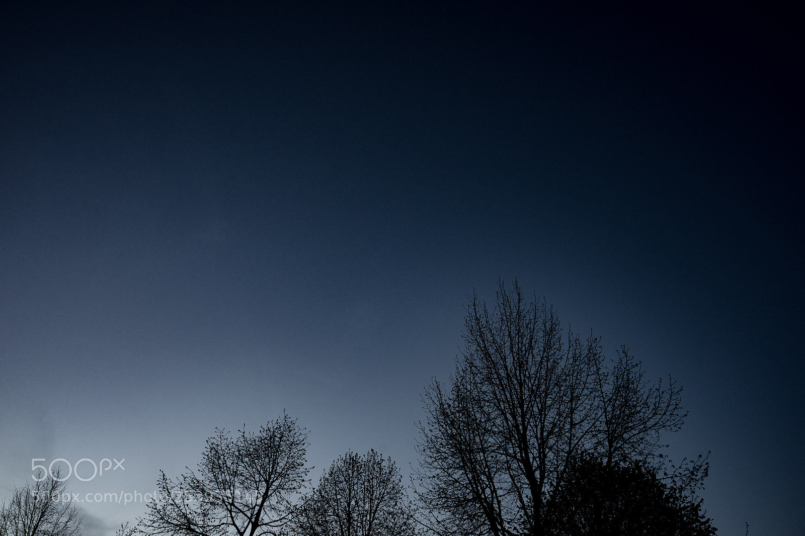 Sony a7 sample photo. Untitled photography