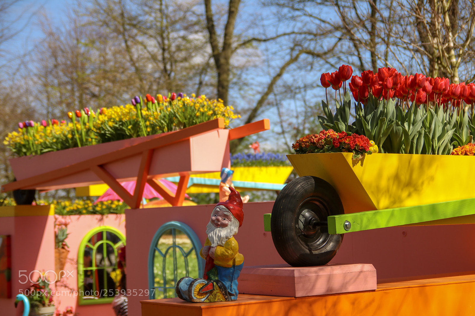 Canon EOS 80D sample photo. Colors in keukenhof  photography