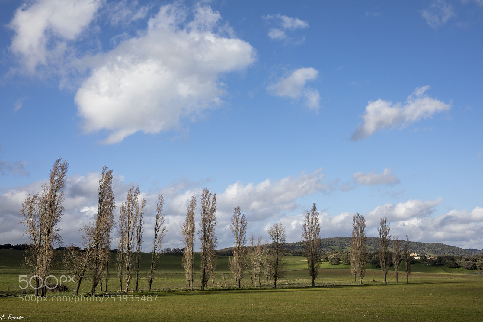 Canon EOS 5D Mark IV sample photo. Primavera photography