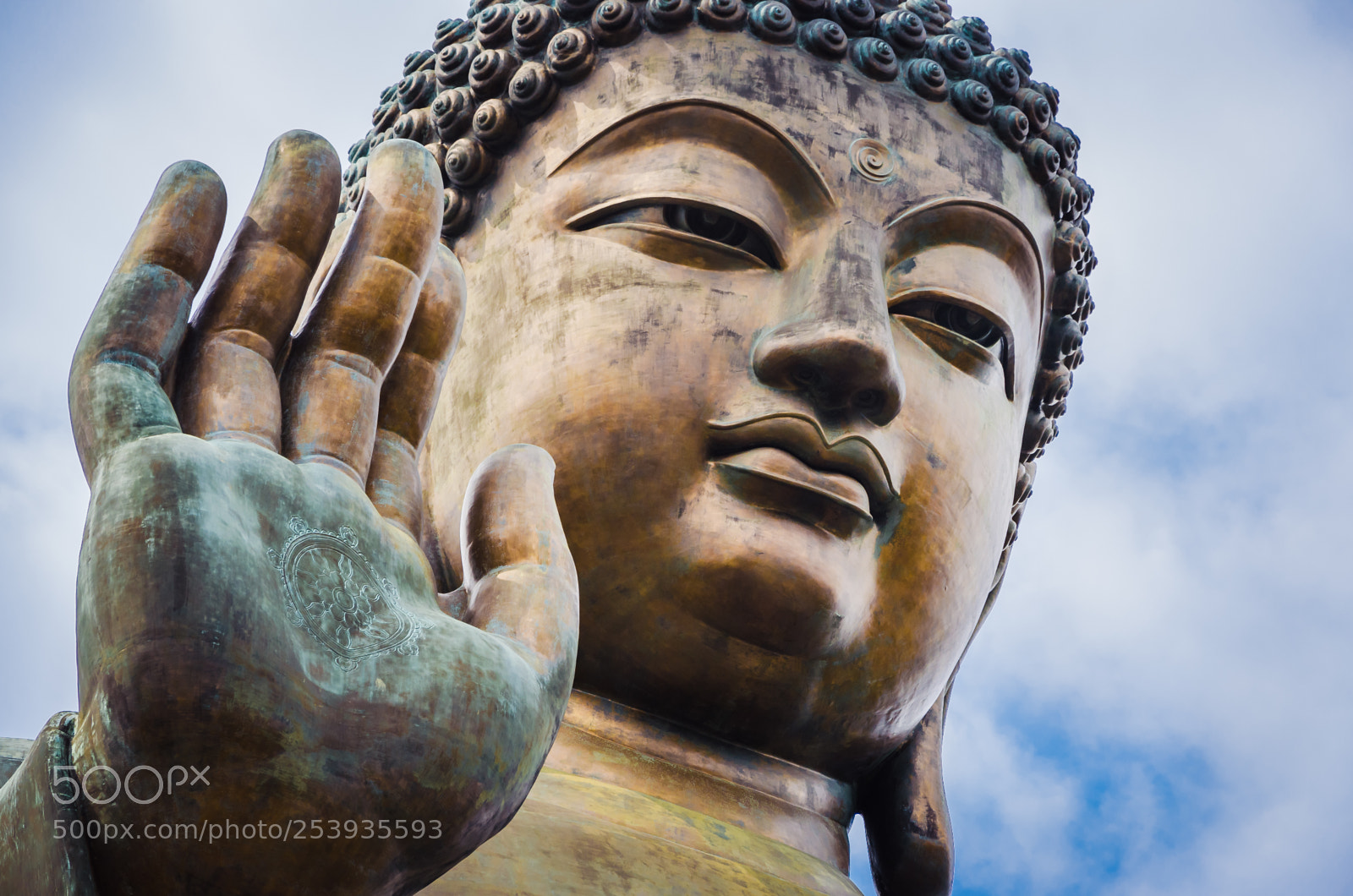 Nikon D5100 sample photo. Close up of tian photography
