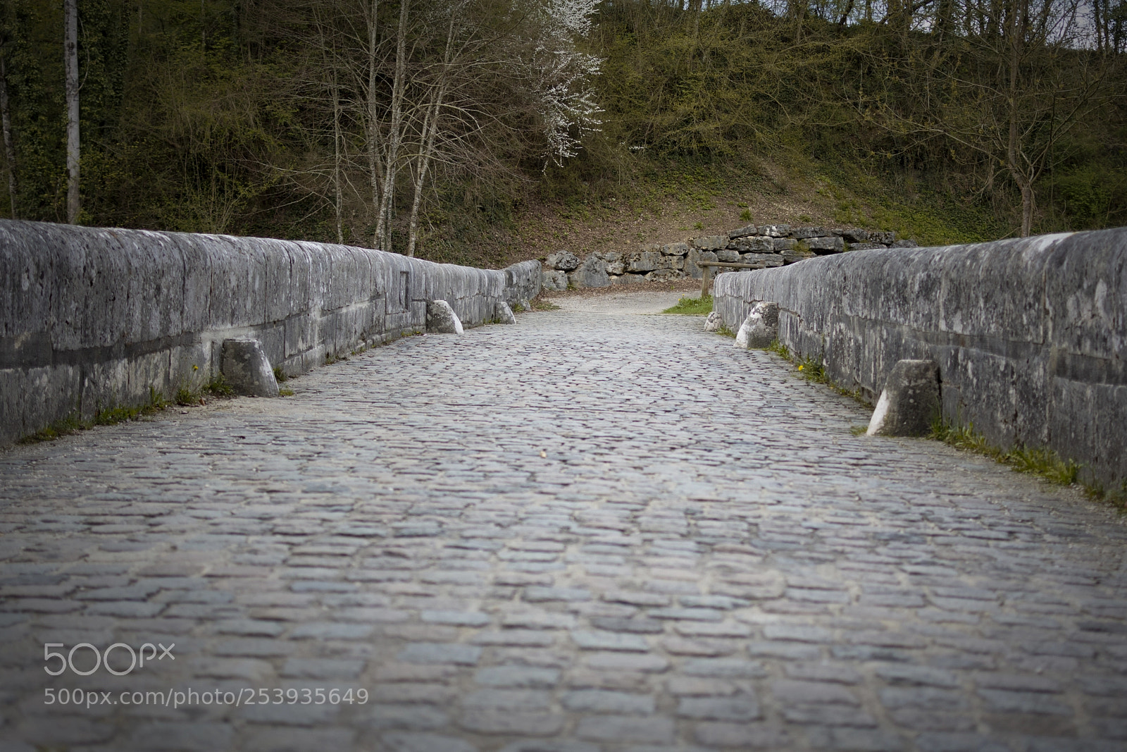 Nikon D7200 sample photo. Pont coppet photography