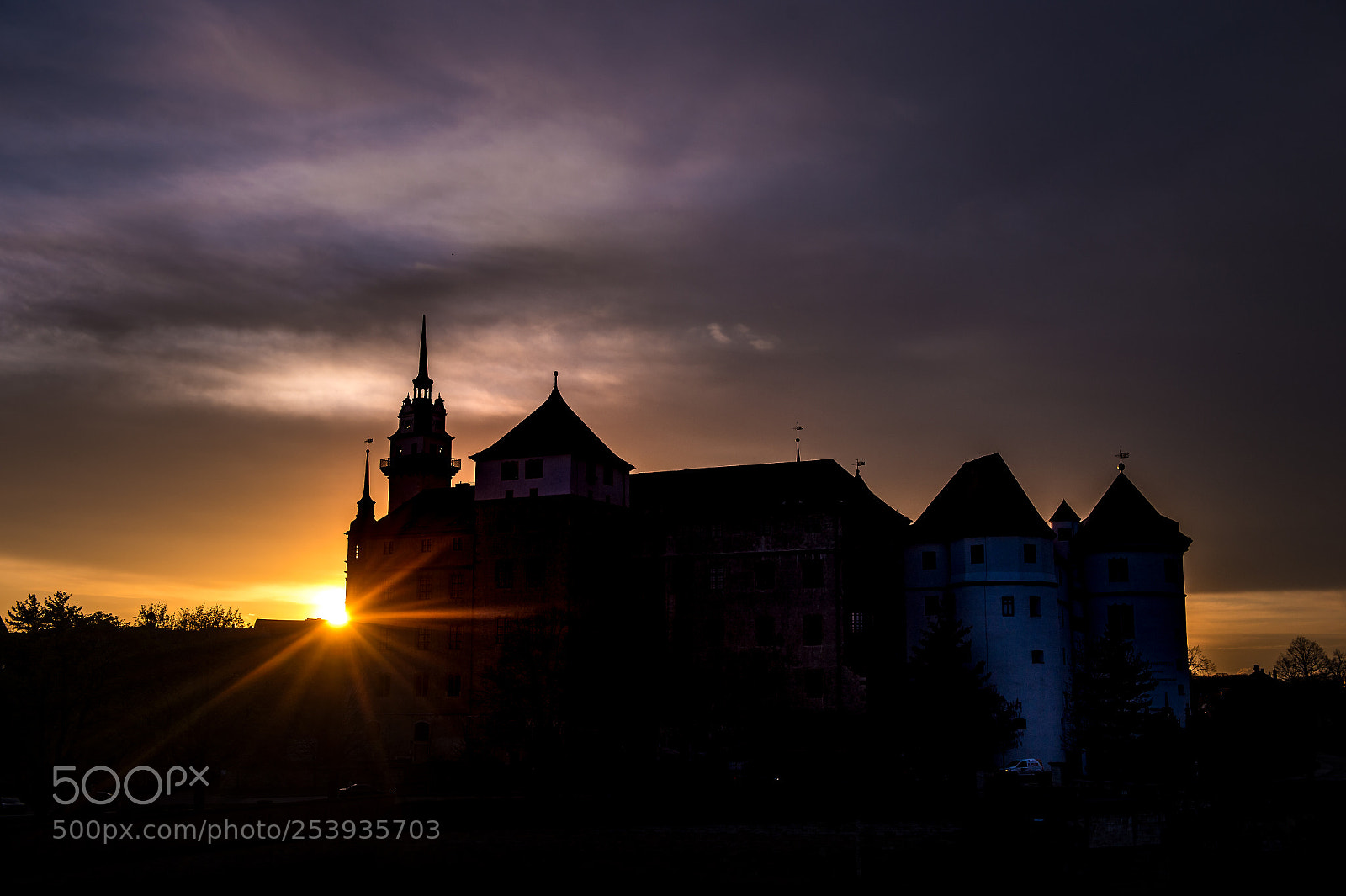Nikon D4 sample photo. Castle hartenberg in sunset photography