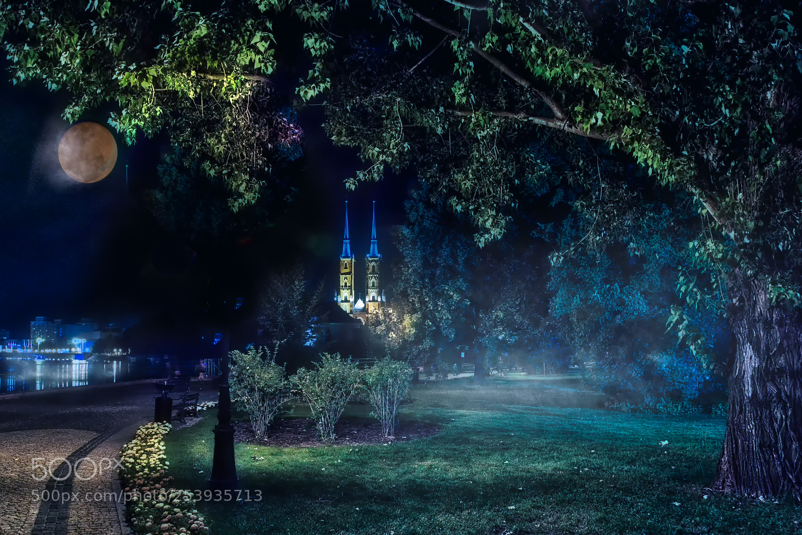 Sony a6000 sample photo. Breslau photography