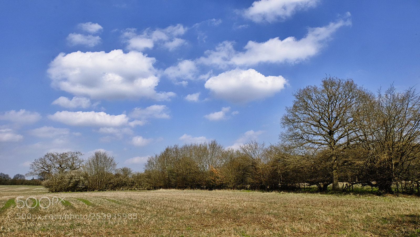 Fujifilm X-T10 sample photo. April photography