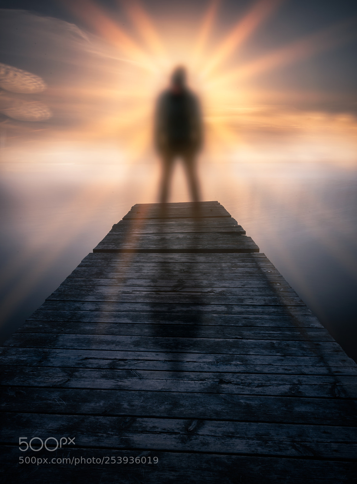 Nikon D810 sample photo. In to the sun photography