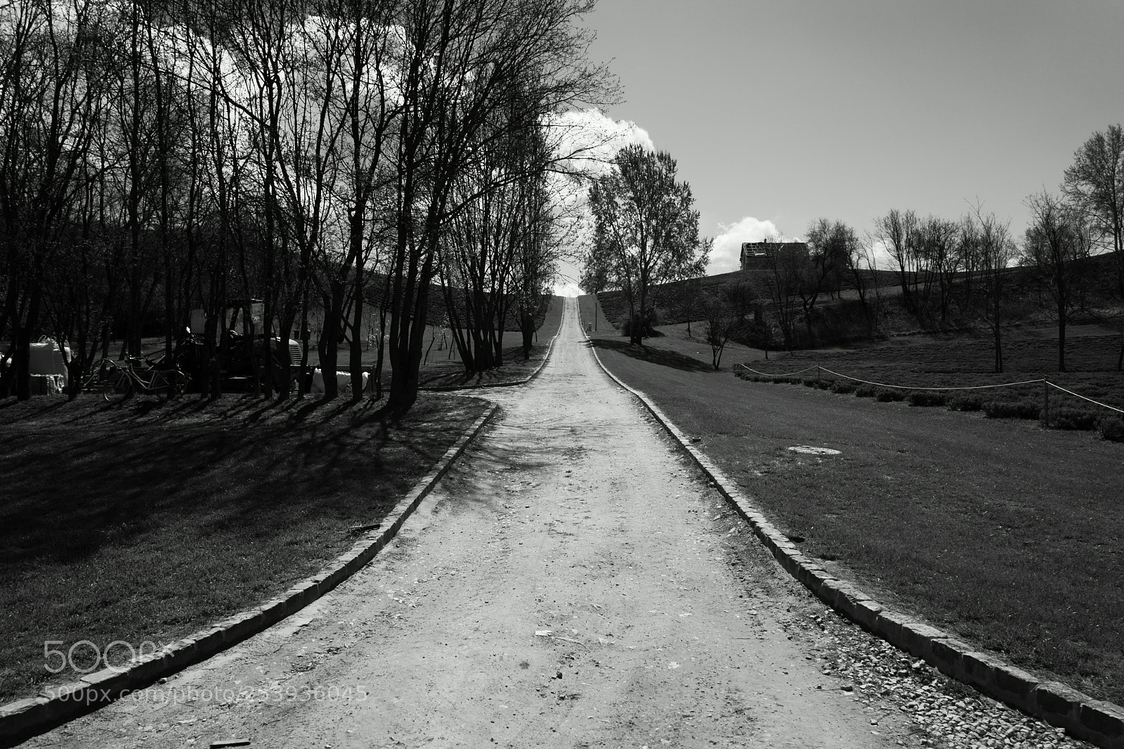 Sony a7 II sample photo. Road to heaven photography