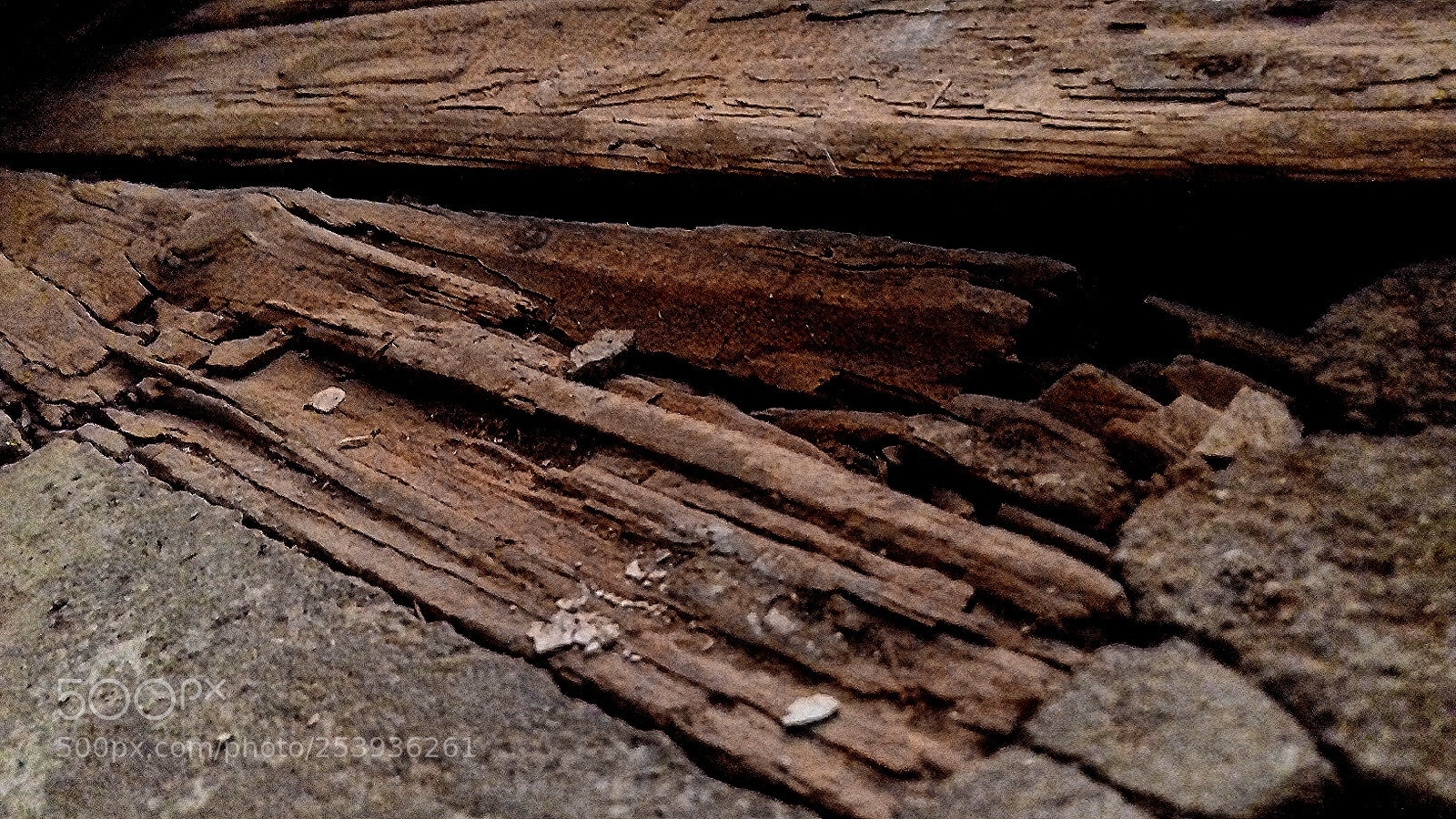 Samsung Galaxy J3(2016) sample photo. Floor made of wood photography