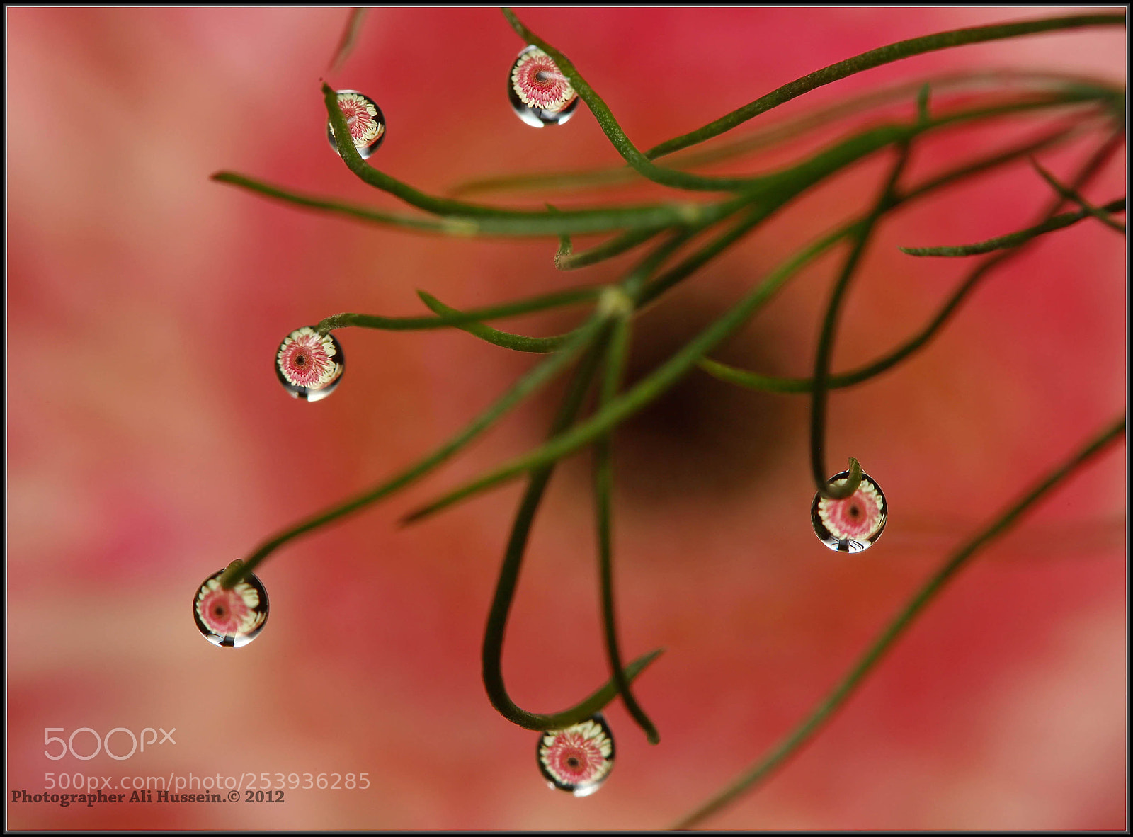Canon EOS 5D Mark II sample photo. Untitled photography