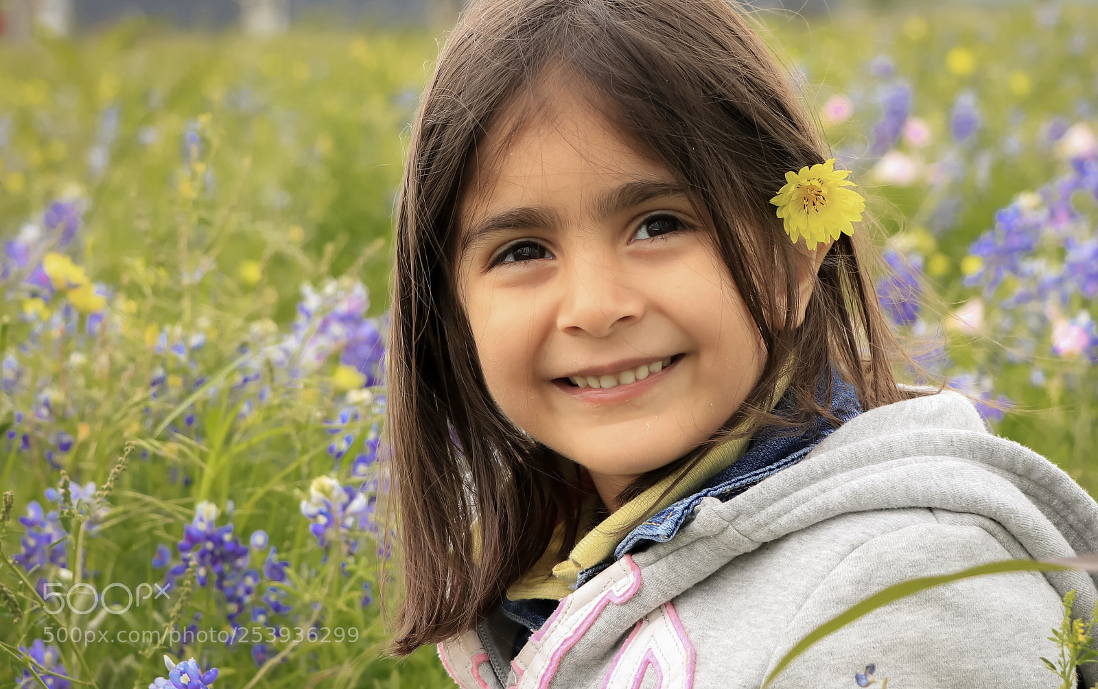 Canon EOS 80D sample photo. Bluebannet photography
