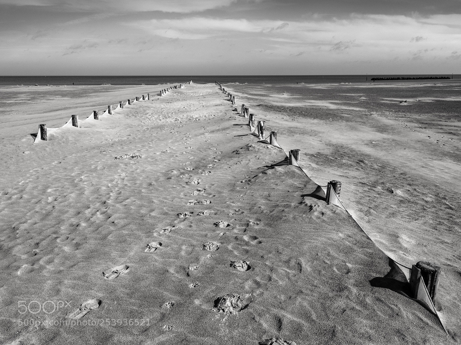 Panasonic Lumix DC-G9 sample photo. Lines on the beach photography