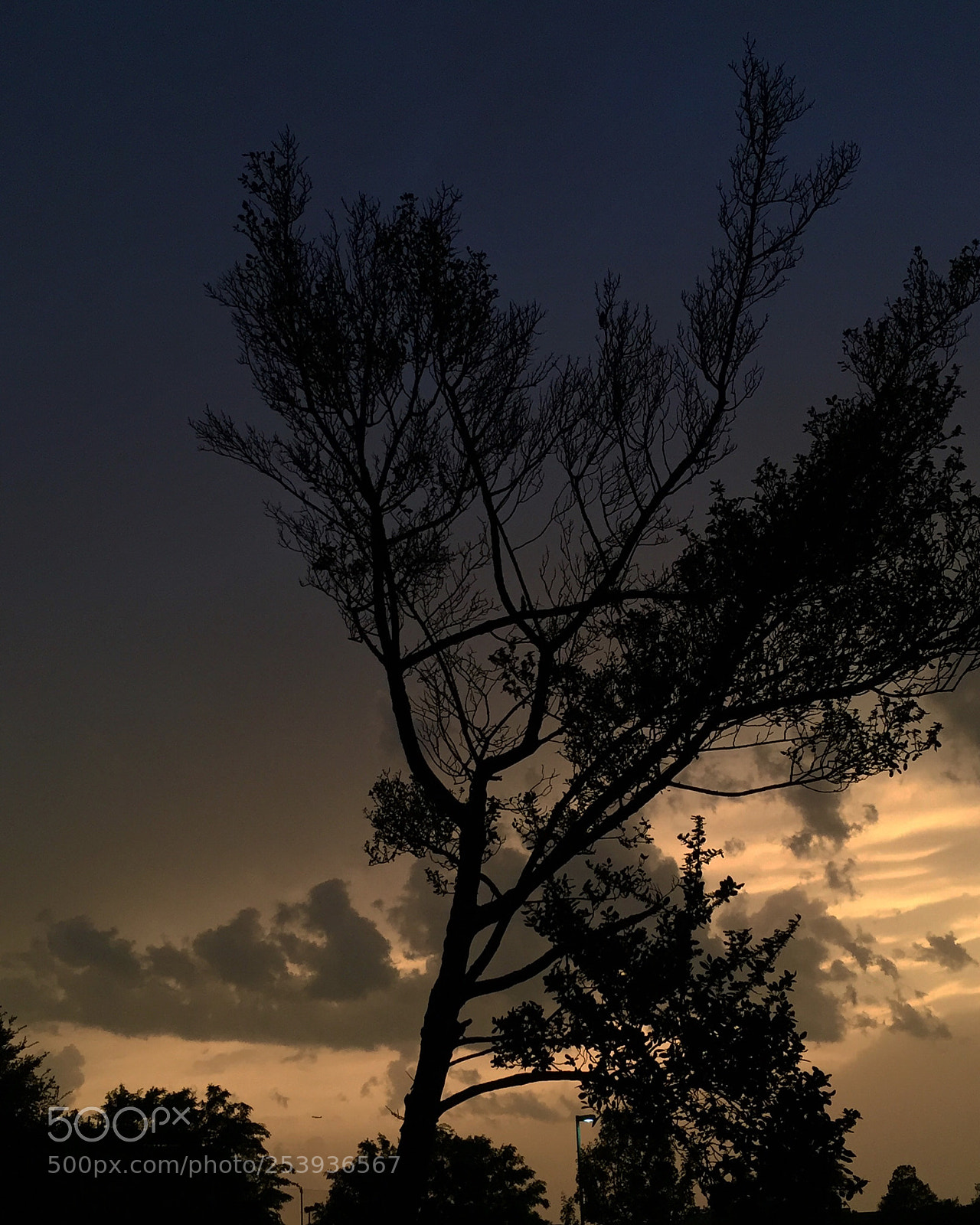 Apple iPhone 6 sample photo. Untitled photography