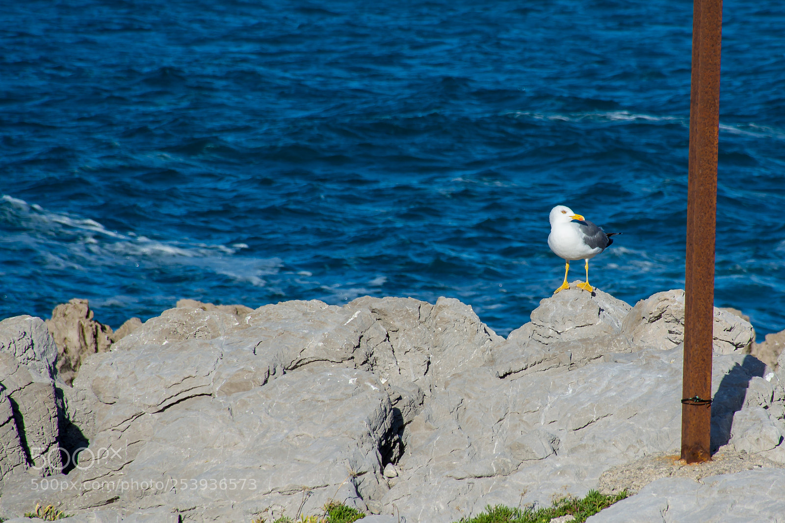 Nikon D5200 sample photo. Summer is coming photography