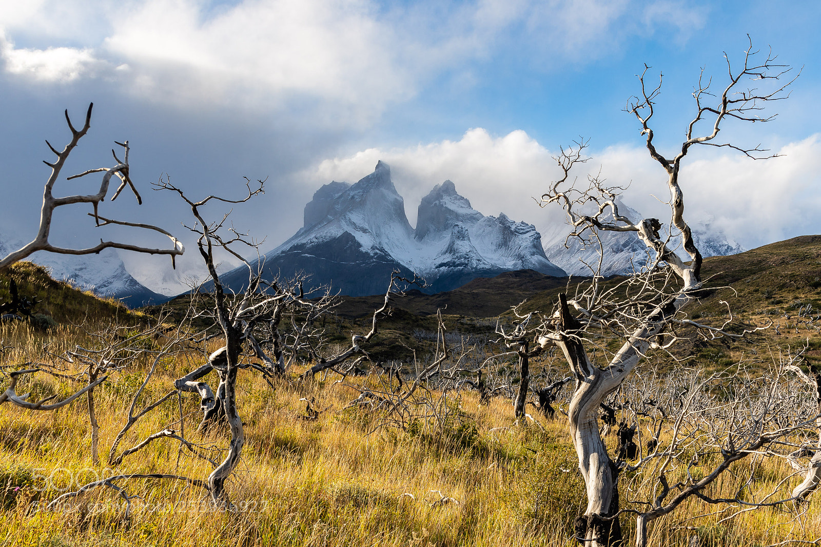 Canon EOS 5D Mark IV sample photo. Cuernos del paine photography