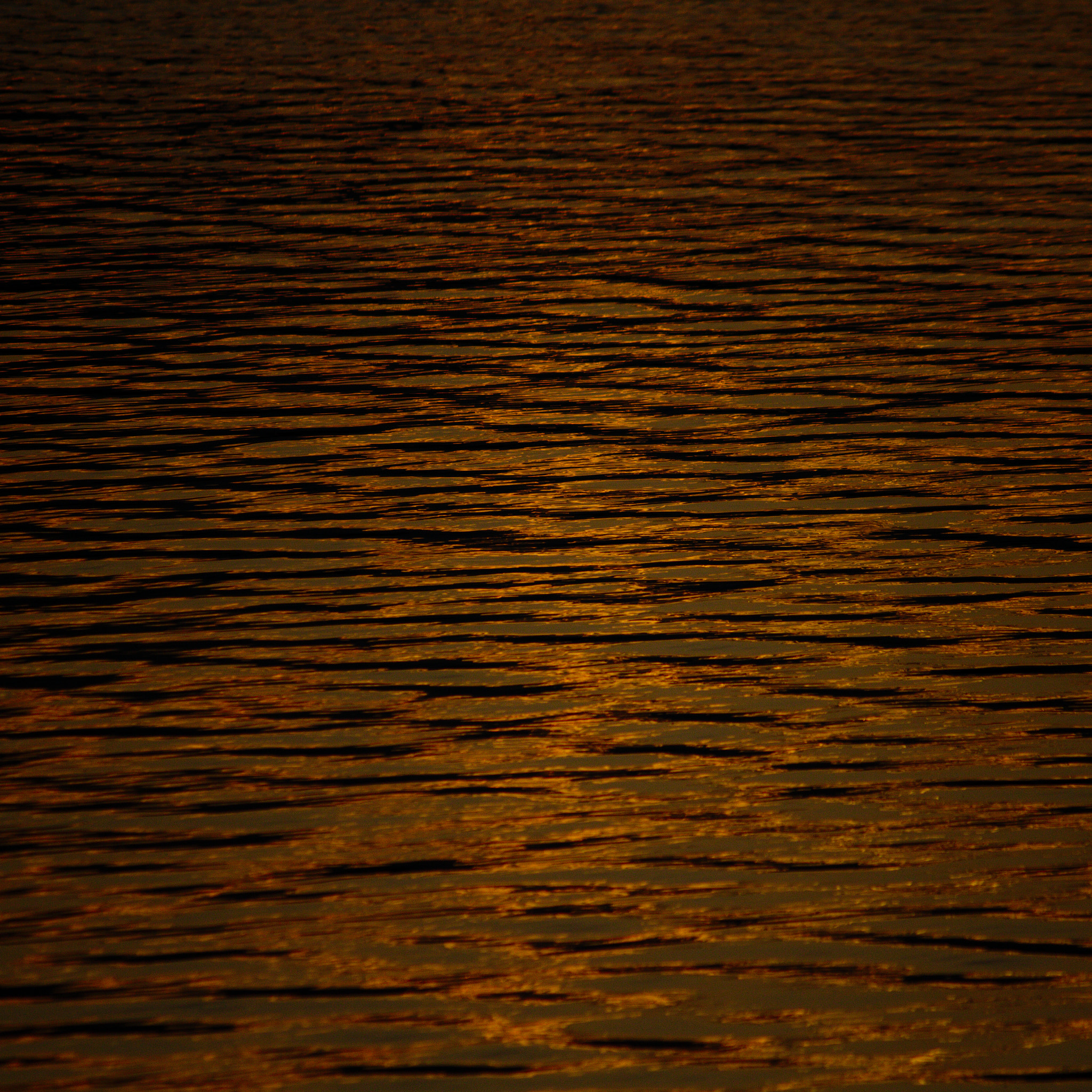 Canon EF-S 55-250mm F4-5.6 IS II sample photo. No 1 photography