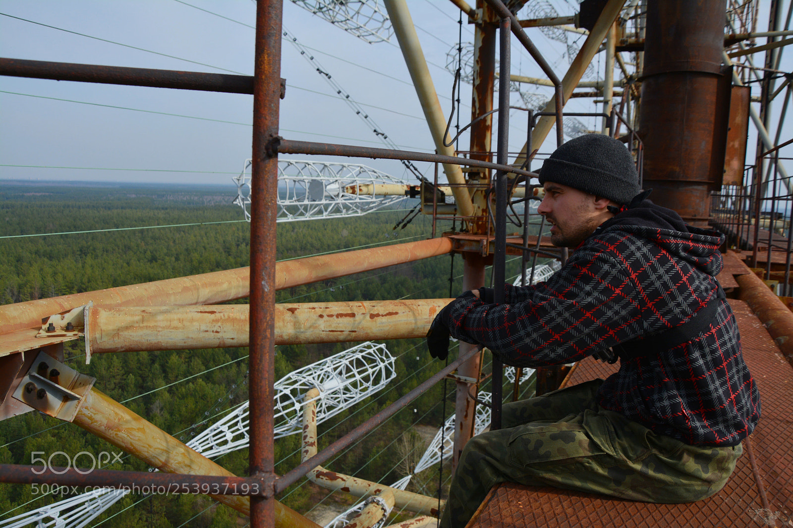 Nikon D5200 sample photo. Russian woodpecker photography