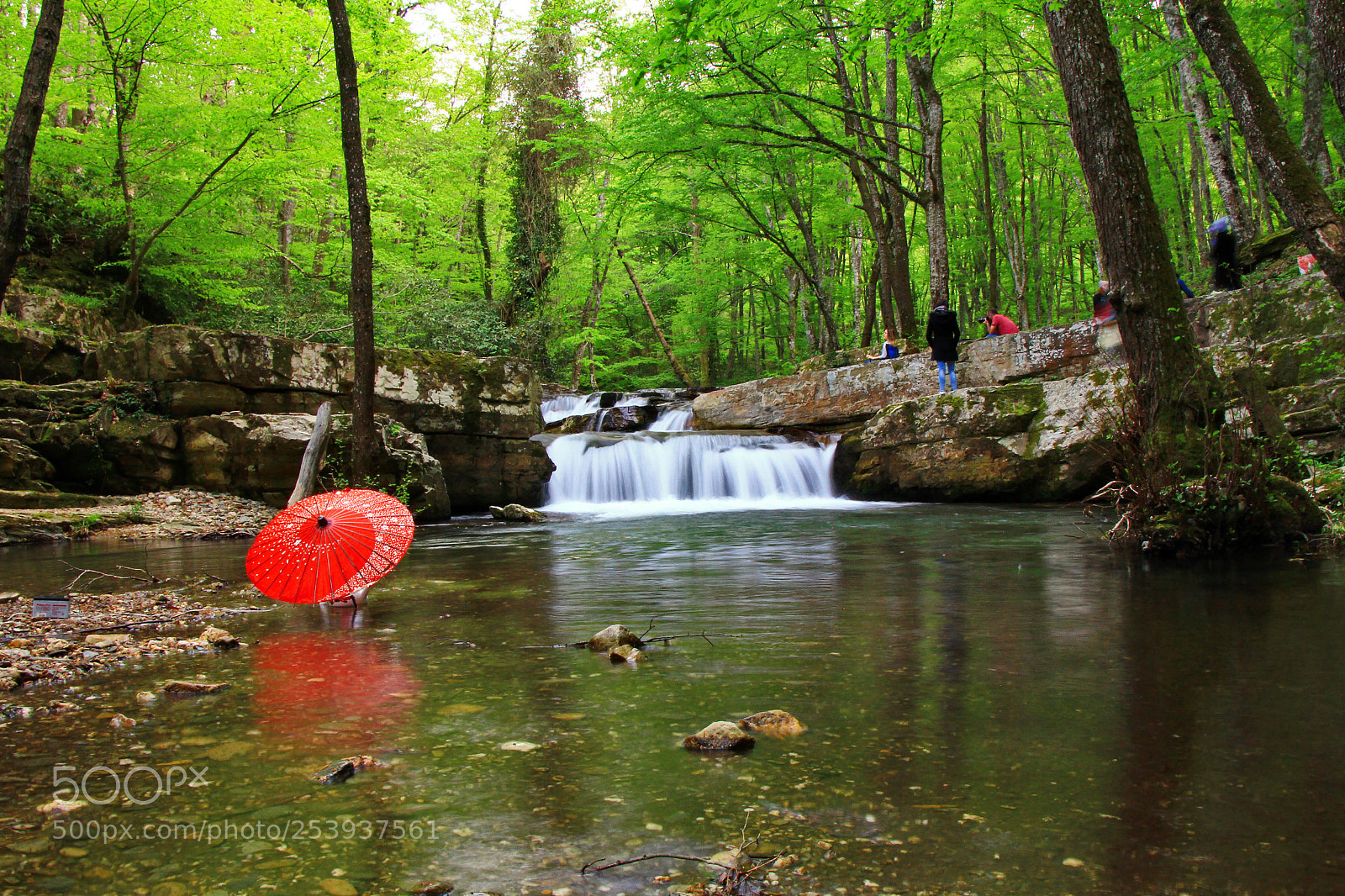Canon EOS 60D sample photo. Untitled photography