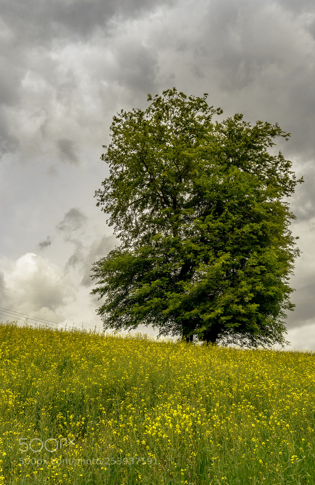 Nikon D5200 sample photo. Cloudy farmland photography
