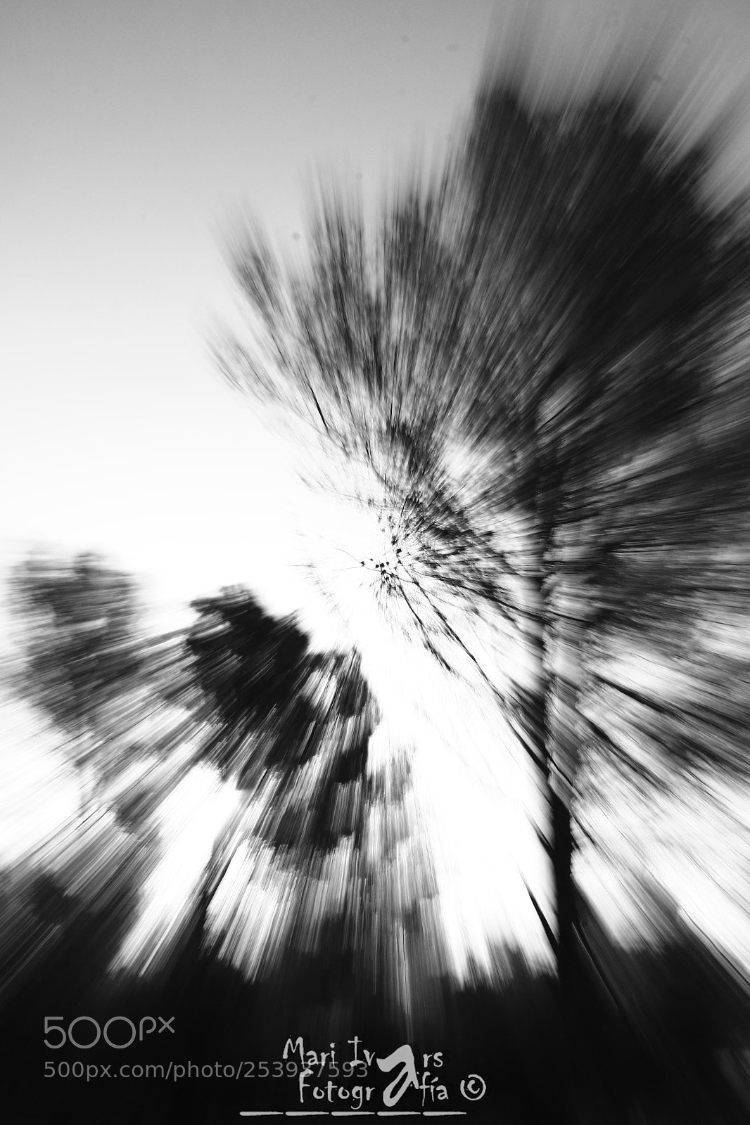 Canon EOS 70D sample photo. Distorsion photography