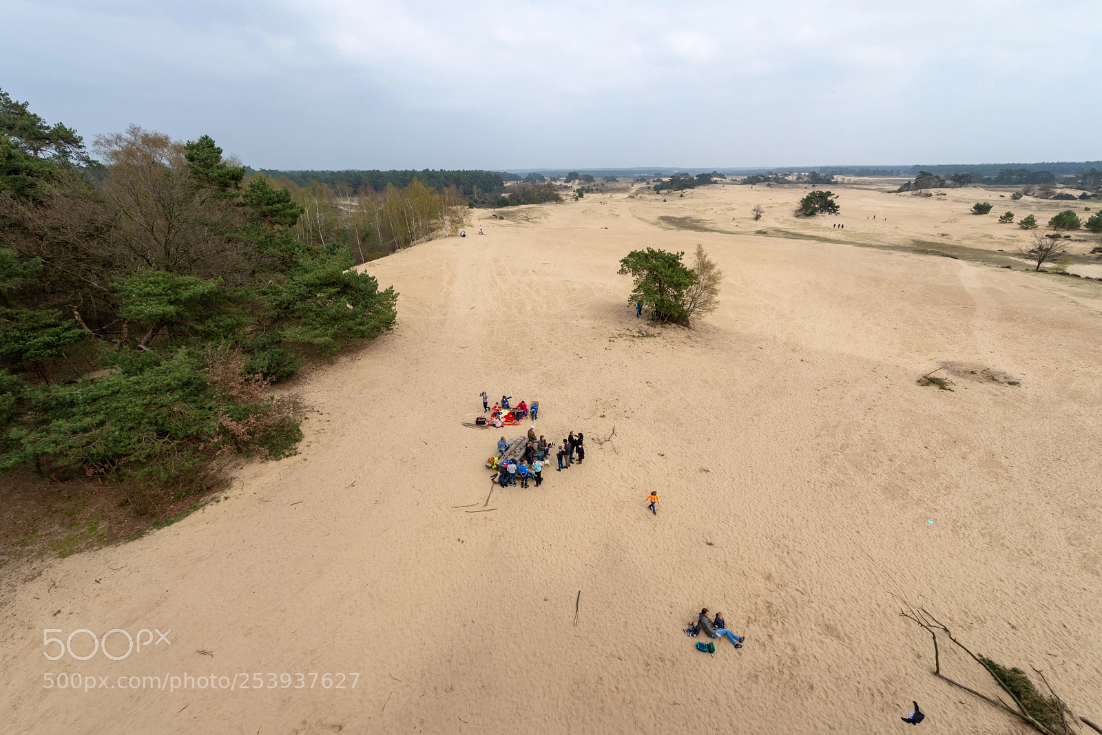 Nikon D610 sample photo. Kootwijkerzand photography
