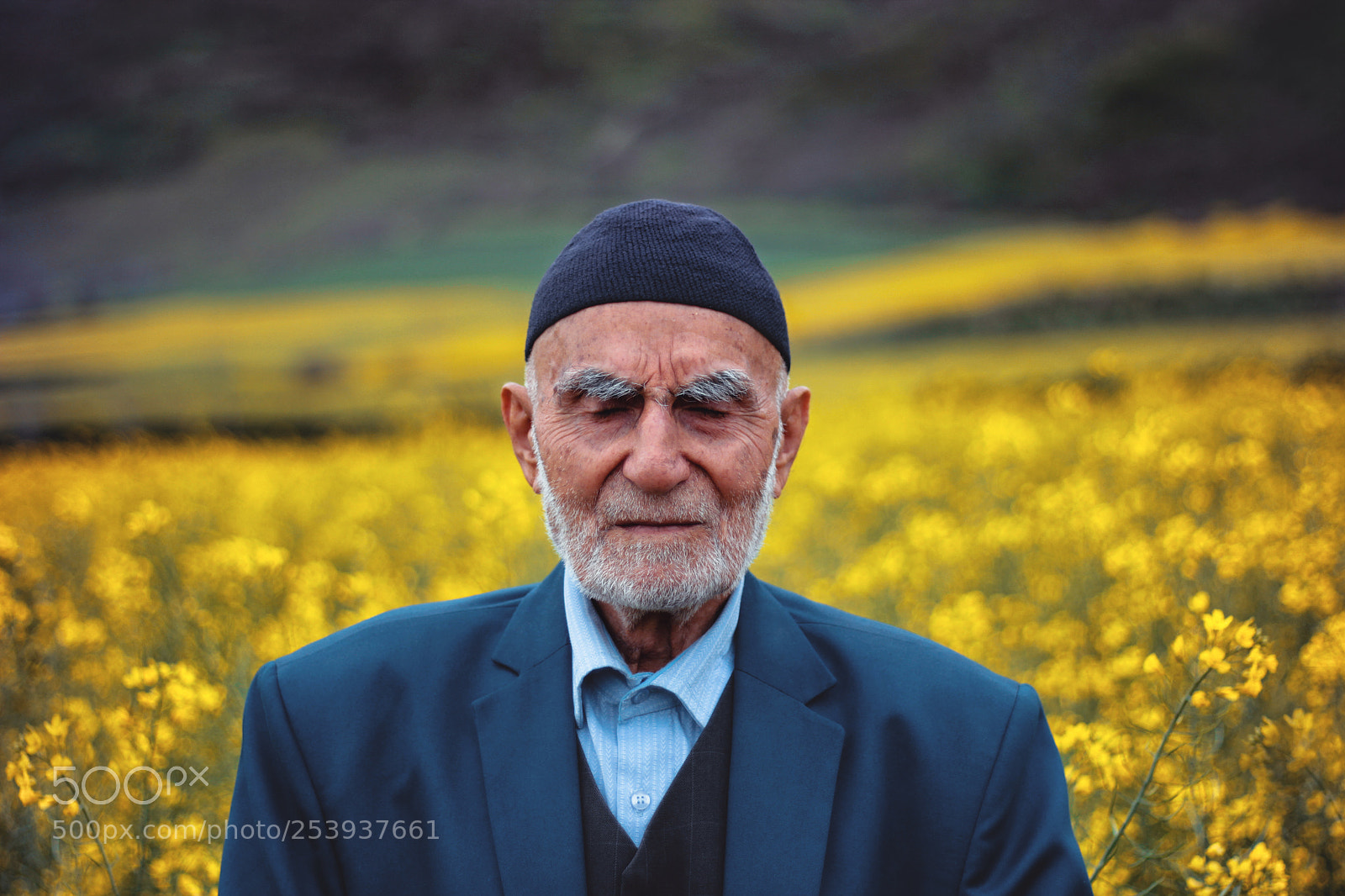 Canon EOS 60D sample photo. Yellow photography