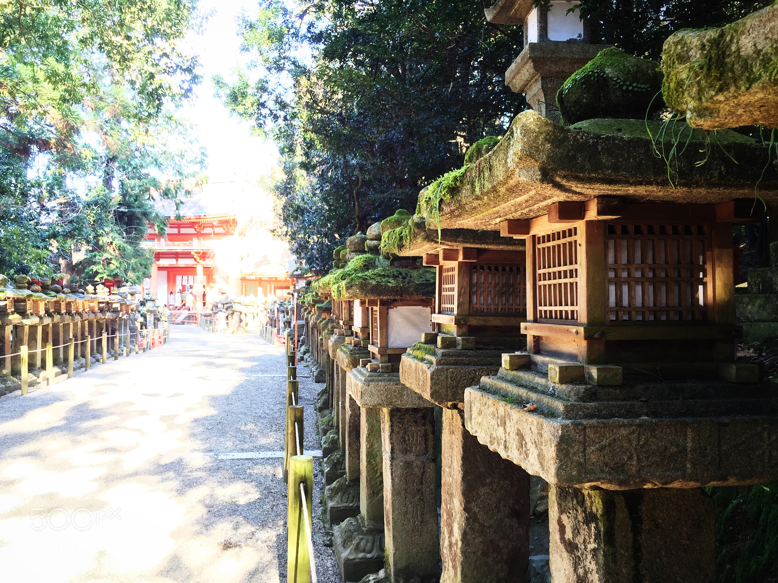 Apple iPhone 6 sample photo. Kyoto temple photography