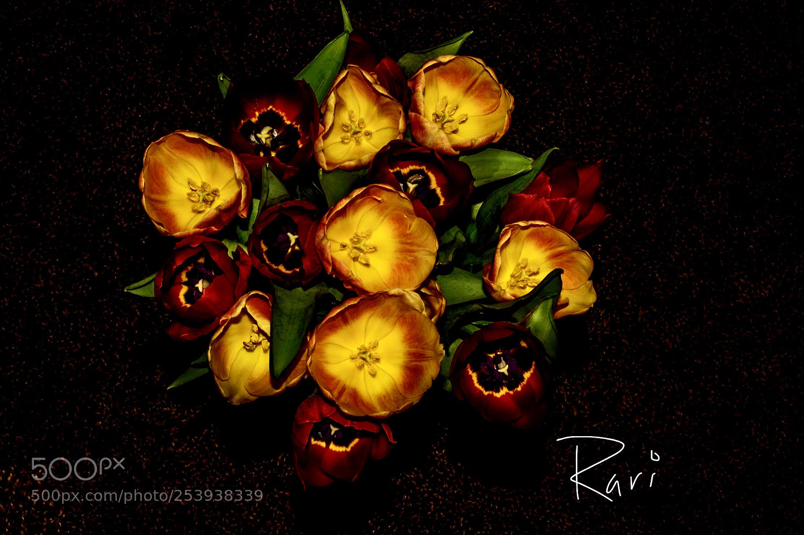 Nikon D5200 sample photo. Colors in dark.... photography